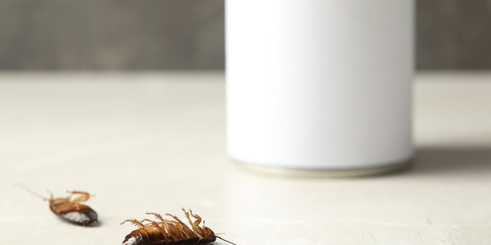 bigstock-Dead-Brown-Cockroaches-On-Ligh-377512891 (1)